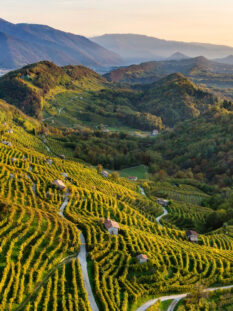 colline prosecco