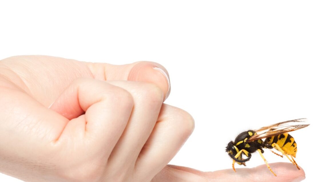 aziende-italiane-@salepepe