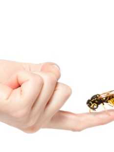 aziende-italiane-@salepepe