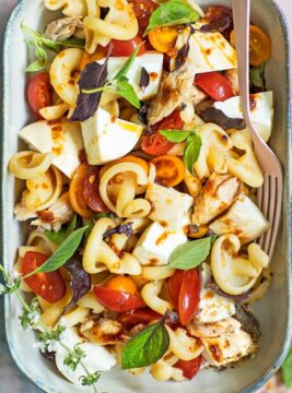 Pasta fredda con bufala affumicata e filetti di sgombro