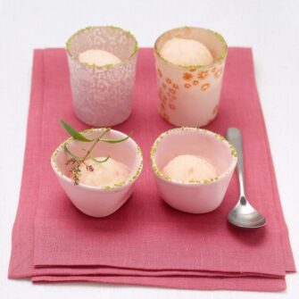 Sorbetto fatto in casa allo spumante con pesche bianche