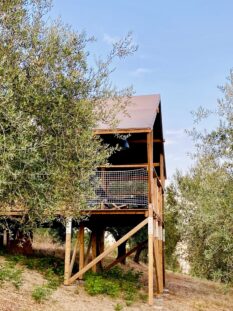 glamping-in-italia-@salepepe