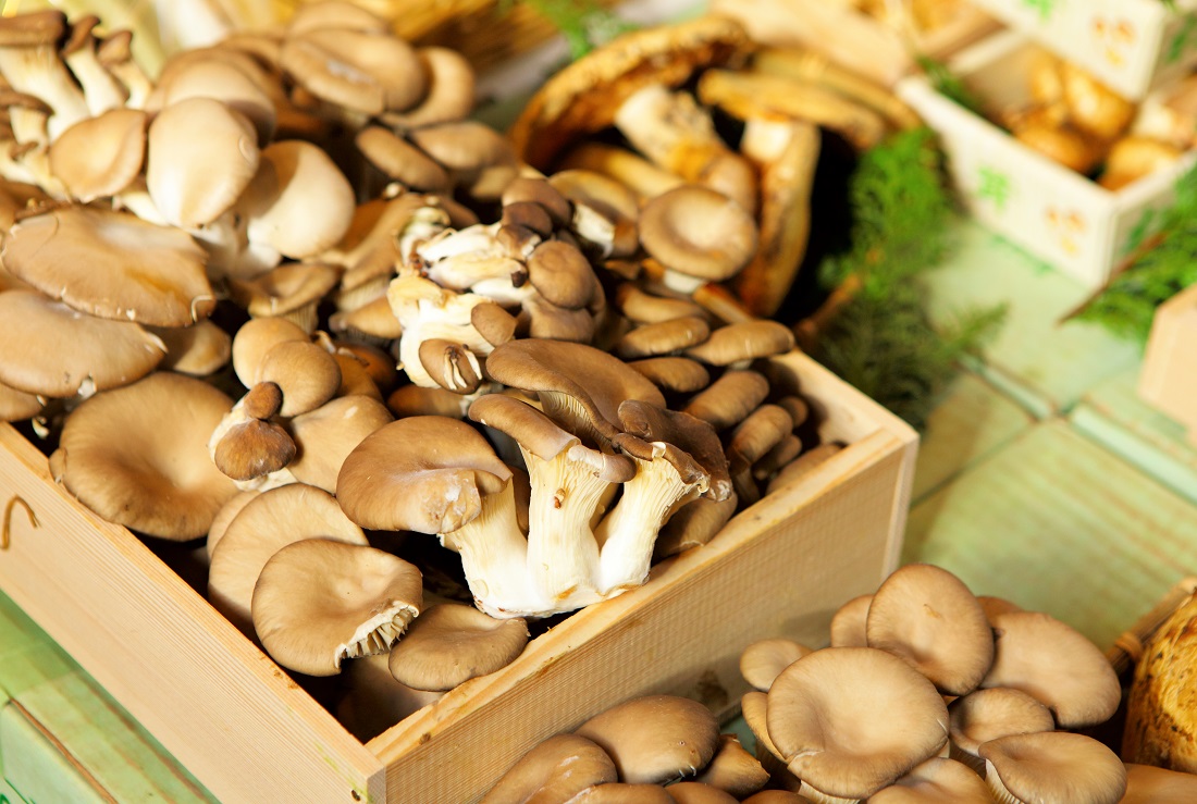 Come conservare i funghi? Ve lo diciamo noi! - Sale\u0026Pepe