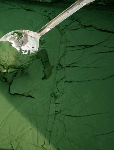alga-spirulina-@salepepe