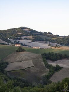 marche-@salepepe-