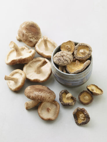 funghi shiitake