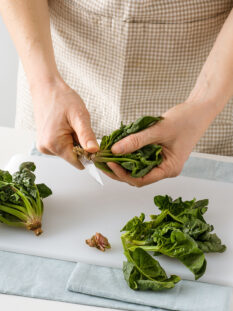 preparazioni in cucina