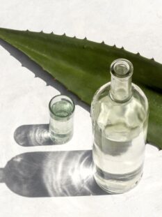 mezcal distillato di agave affumicato