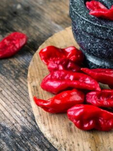 Bhut Jolokia indiano