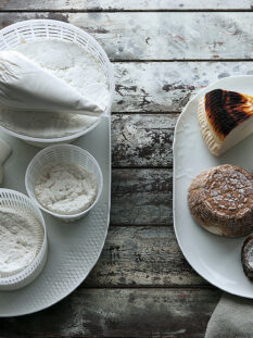 diverse varietà di ricotta