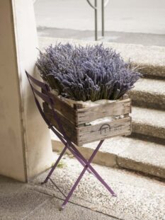 Lavanda fuori dal negozio Le chateau du BoisRue grande FusterieAvignon