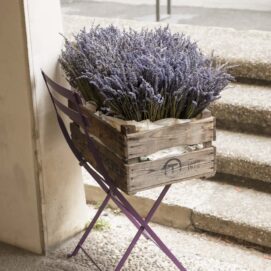 Lavanda fuori dal negozio Le chateau du BoisRue grande FusterieAvignon