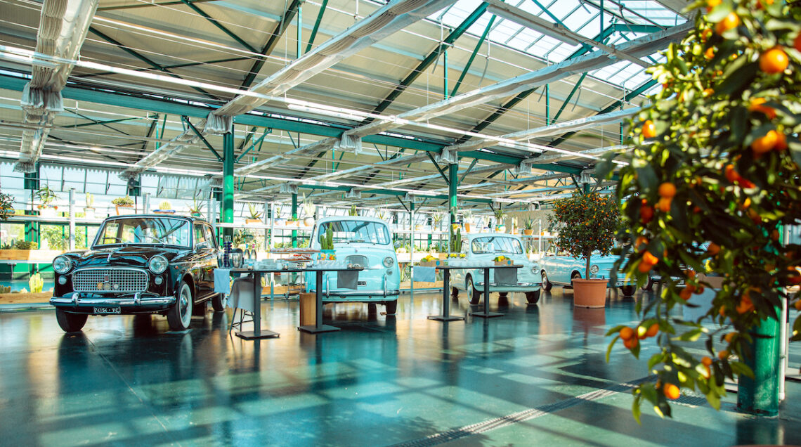 Olio e Spazio The Box - serre