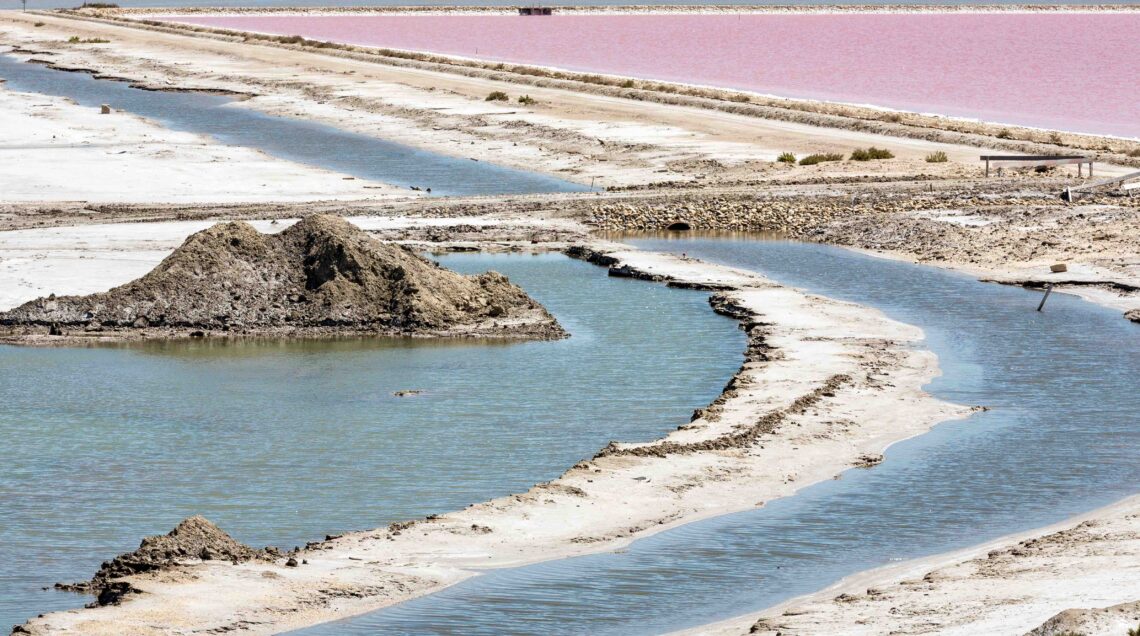 Fleur de Sel - Salina nella Camargue