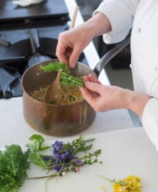 Orzetto con erbe, fiori e tartare di trota