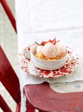 Sorbetto di melone con peperoncino candito
