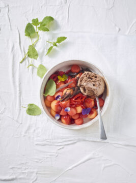 Macedonia di melone, anguria e ribes con peperoncino candito, zenzero e gelato al cioccolato