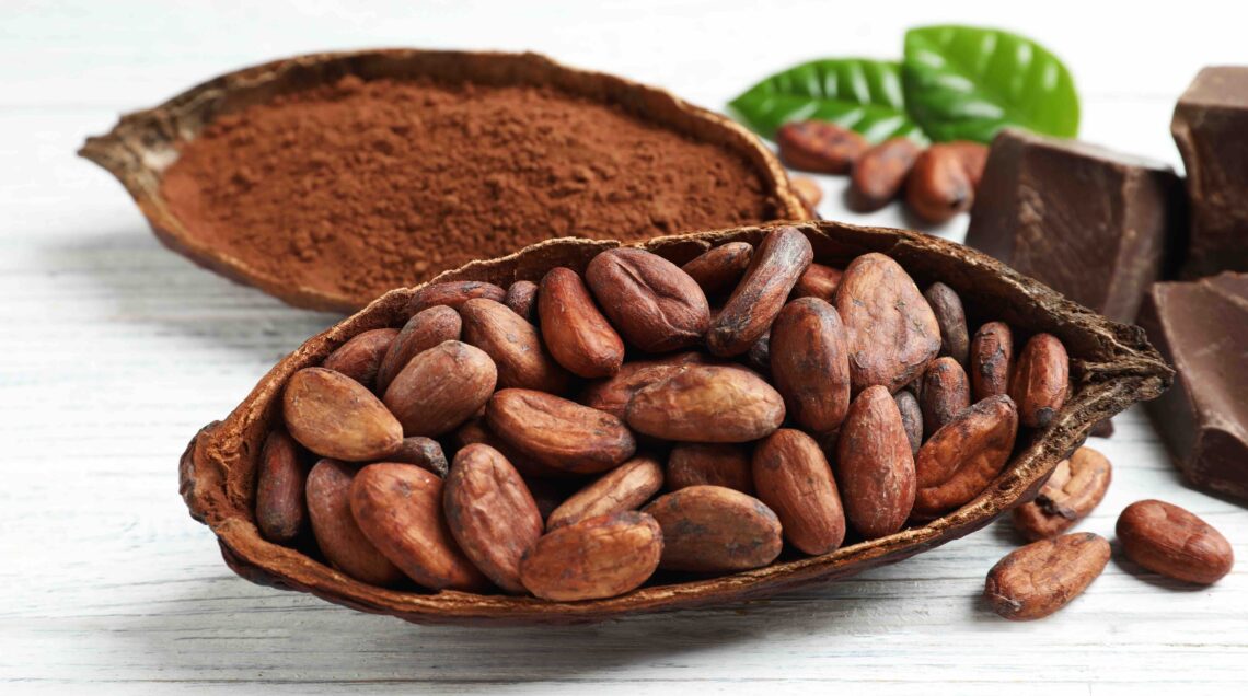 Fave di cacao nel frutto e cacao in polvere