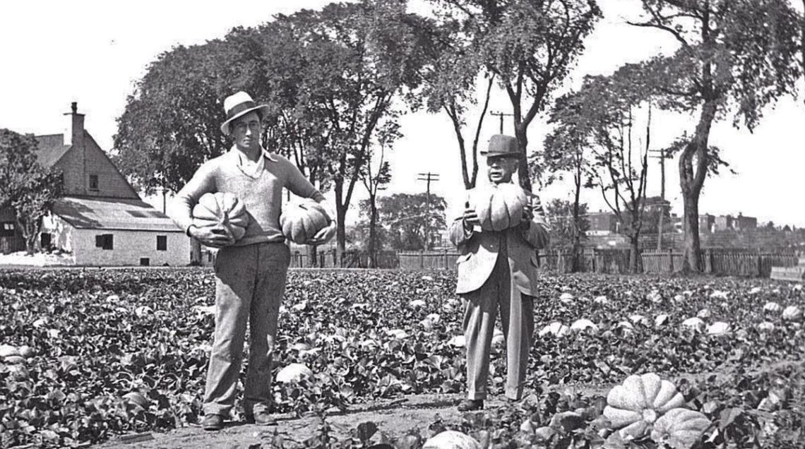 Montreal Melons in the field of the residential neighborhood of Notre-Dame-de-Grâce (1925)