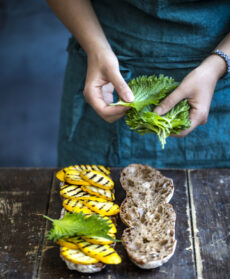 Ciabatta con pollo e zucchine gialle grigliate