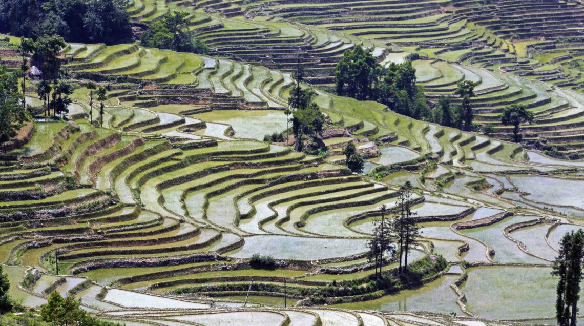 Risaie a terrazza Honghe Hani, provincia dello Yunnan in Cina, Patrimonio Mondiale dell'UNESCO dal 2013