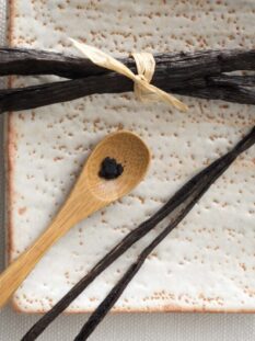VANIGLIA BOURBON, ALCUNI BACCELLi E SEMI SU UN PIATTO DI CERAMICA QUADRATO