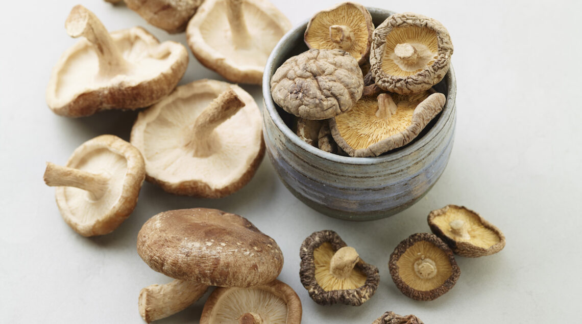 funghi shiitake