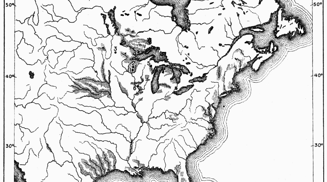 Riso_selvatico_in_Nord_America