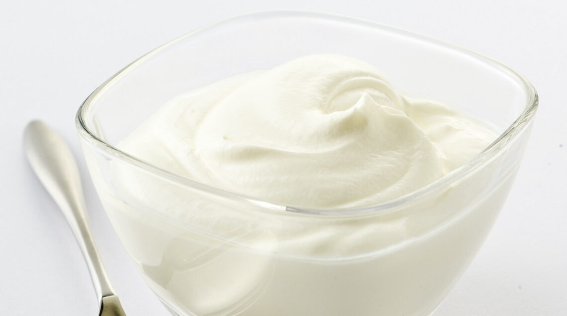 differenza yogurt skyr