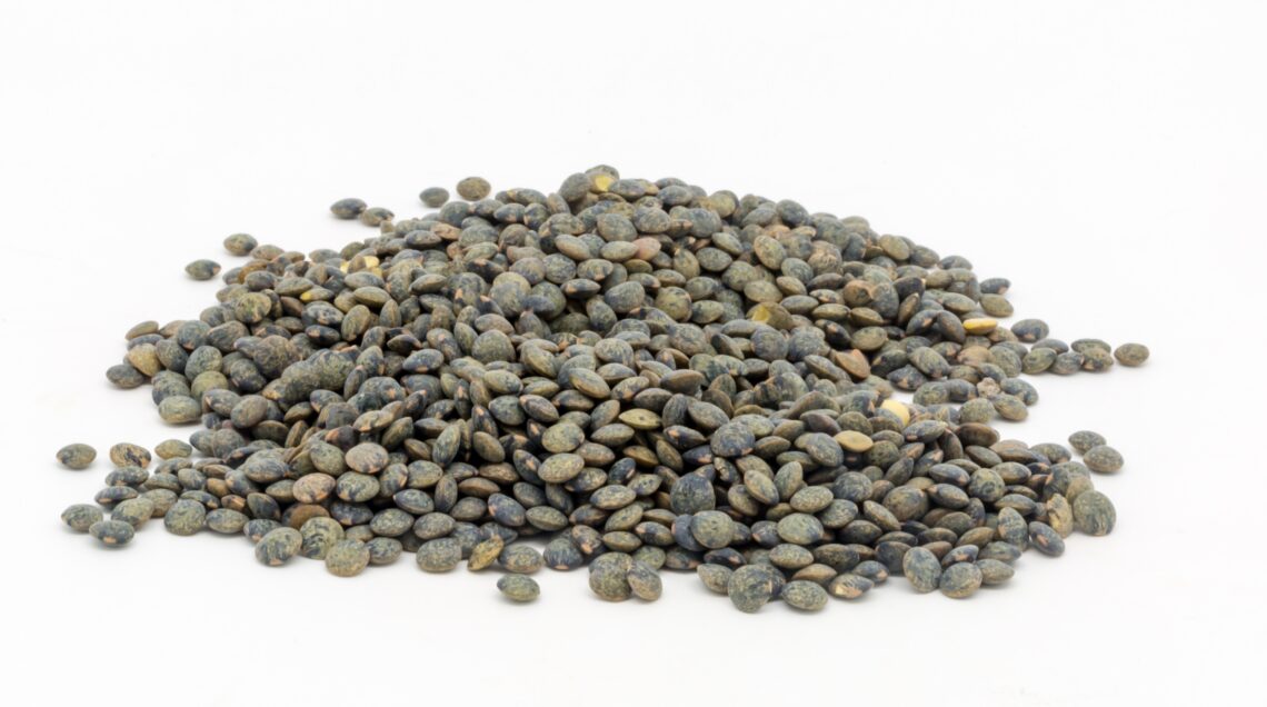 Puy Lentils