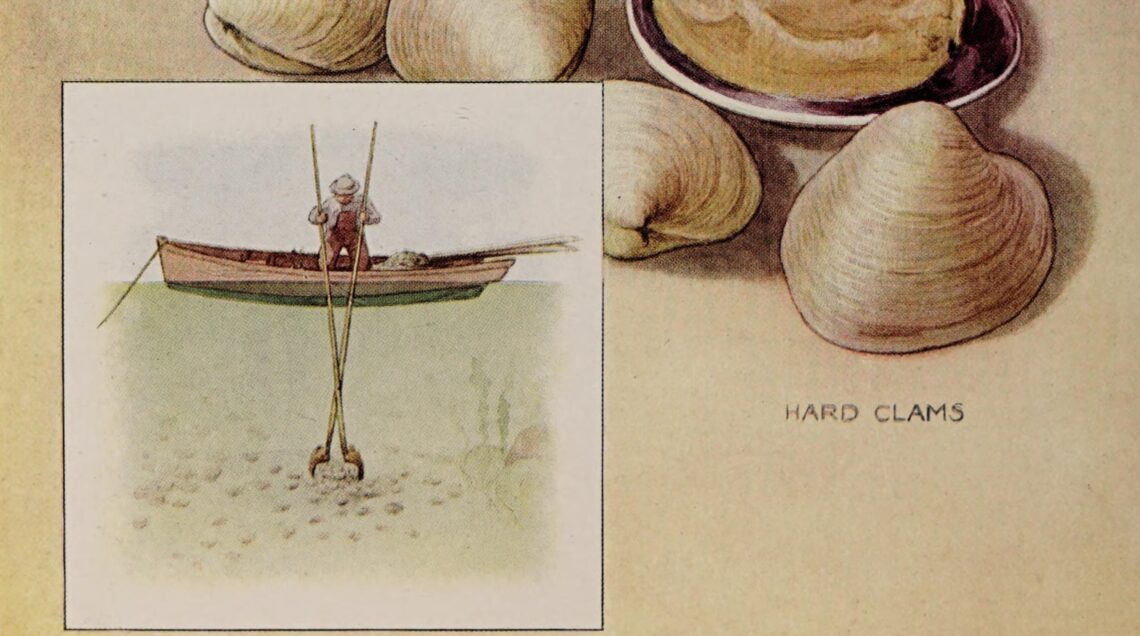 Clams,_illustration_from_The_Encyclopedia_of_Food_by_Artemas_Ward_1923