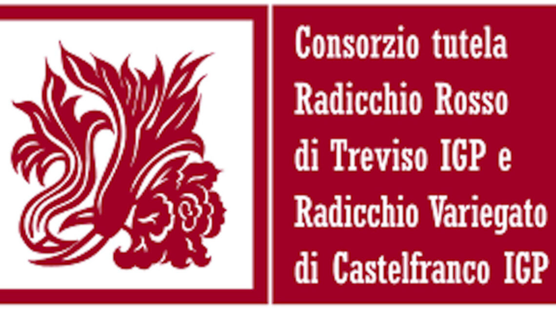 radicchio variegato di Castelfranco MARCHIO IGP
