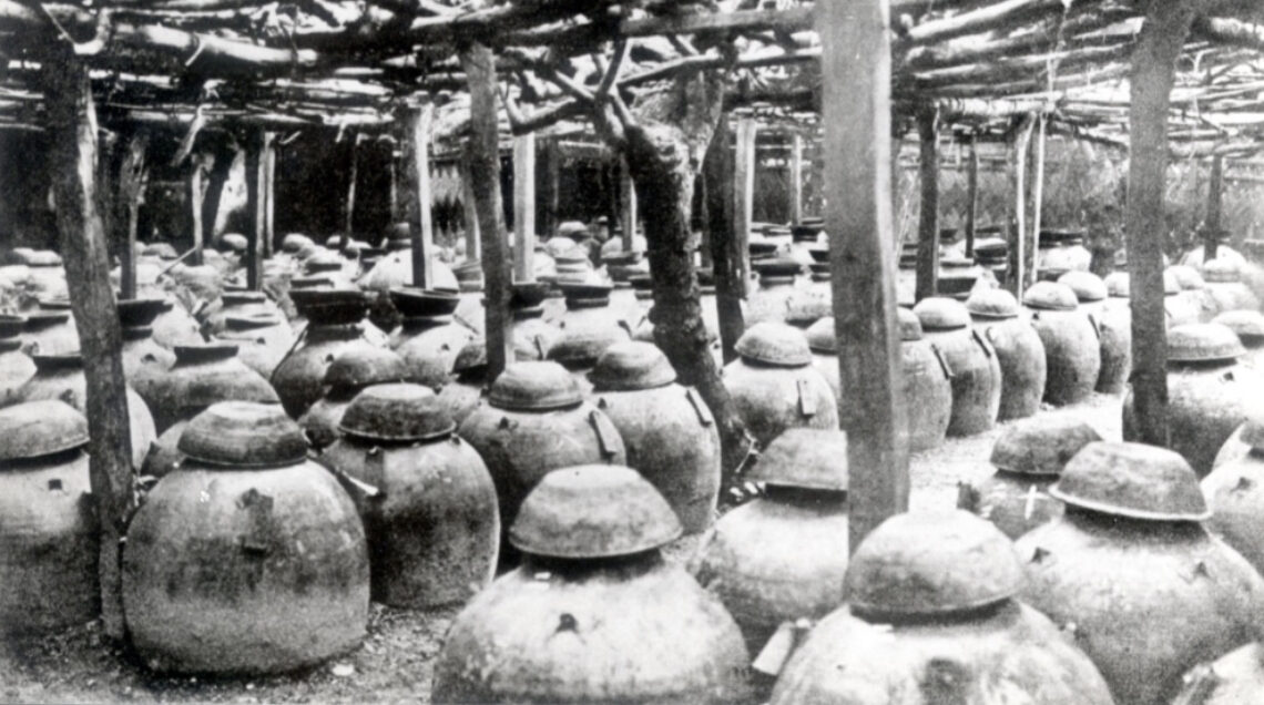 Awamori_production_-_jars_of_moromi