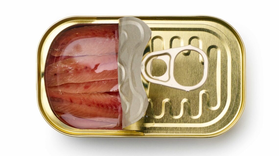 canned anchovy fillets