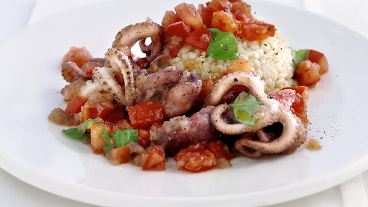 Insalata raffreddata di moscardini