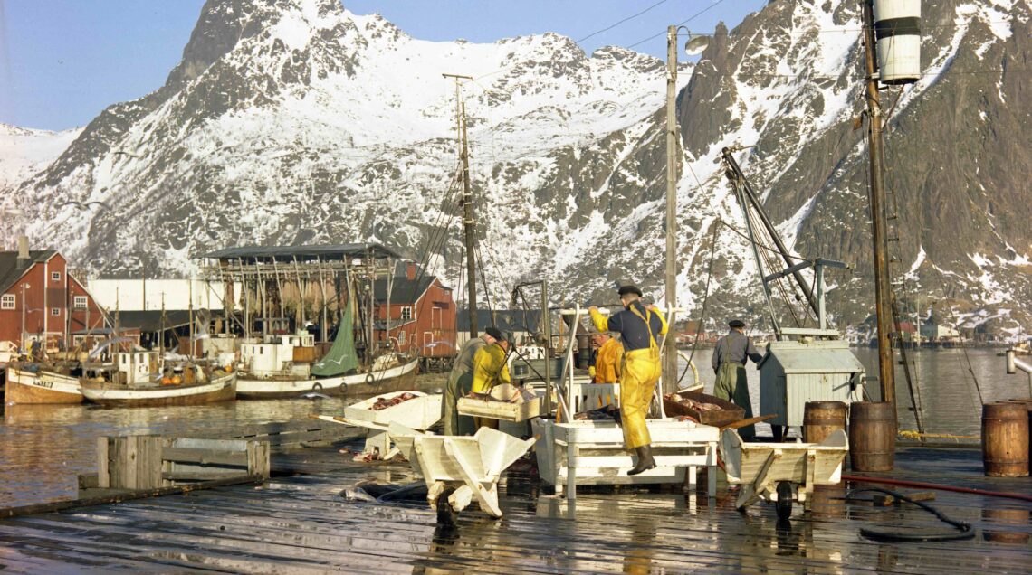 Kanstadsamlingen_Lofoten_pescatori Norvegia