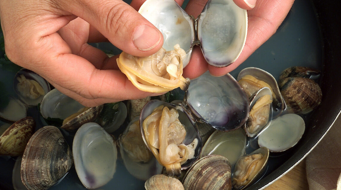 VONGOLE PULIZIA