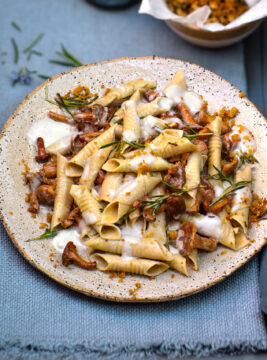 Garganelli di segale con finferli, fonduta di Roquefort e briciole