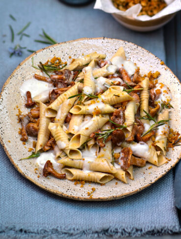 Garganelli di segale con finferli, fonduta di Roquefort e briciole