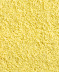 Pan di Spagna