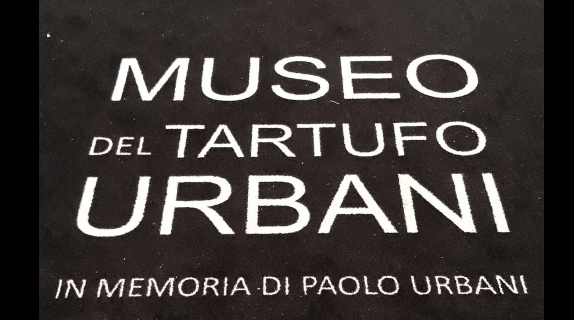 MUSEO PAOLO URBANI