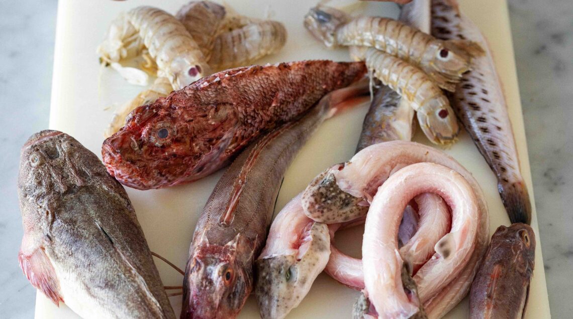 Brodetto di pesce alla fanese step