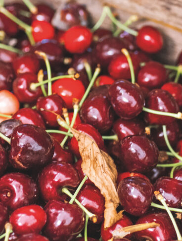 Mucchio ravvicinato di fresche ciliegie di Vignola di colore rosso scuro in una cassetta di legno rustica.