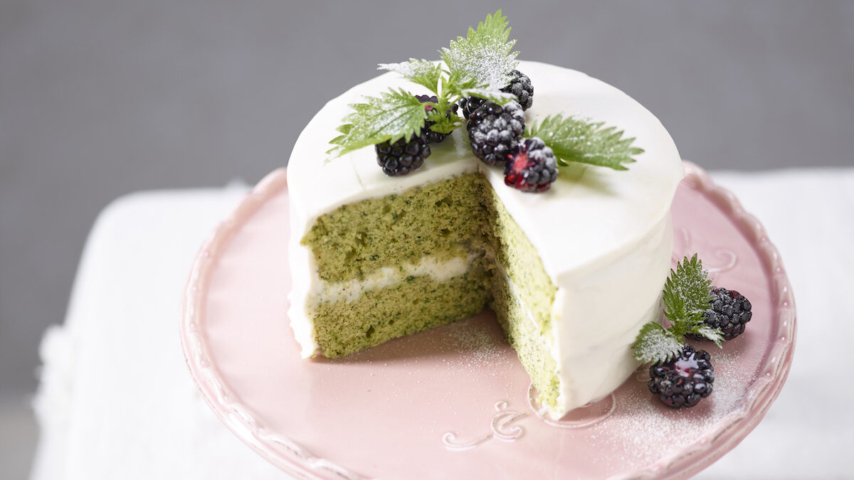Cake alle ortiche con crema di ricotta e more sciroppate