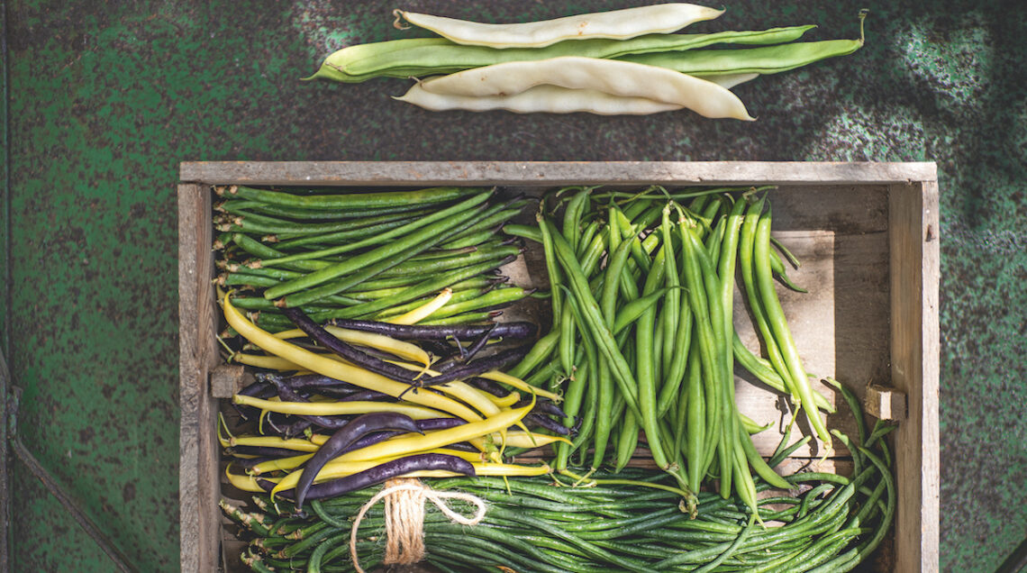 Diverse varietà di fagiolini