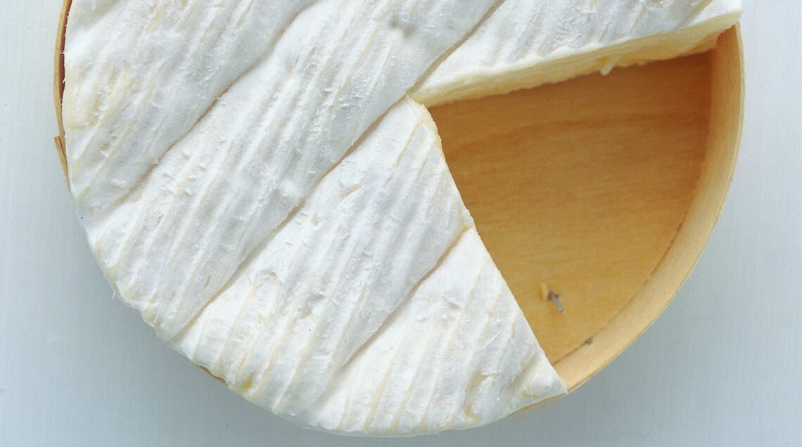 CAMEMBERT 1