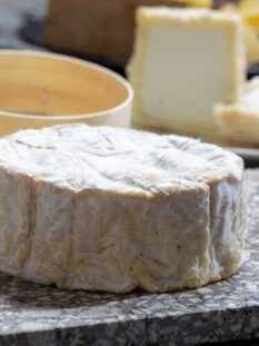 Camembert of Normandy
