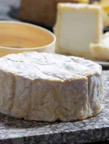Camembert of Normandy