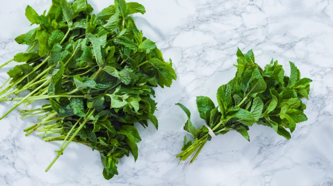 FOGLIE DI MENTA