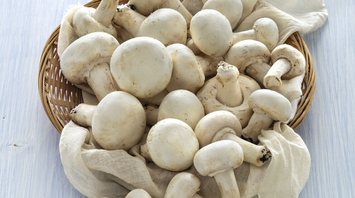 Cesto di funghi champignon bianchi